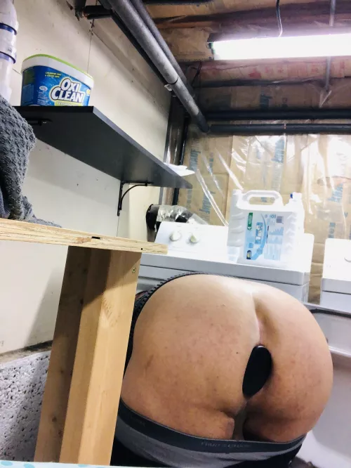 Oh no! I’m stuck in the dryer! Should u/LOOKATTH1SGRAPH get me out or should she leave me here a little while longer?