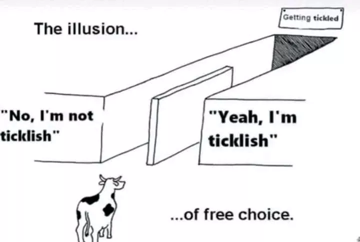 Oh no, lees totally have a choice. ?