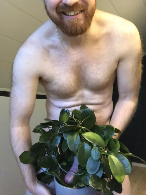 Oh no, thereโs a snake in my plant!
