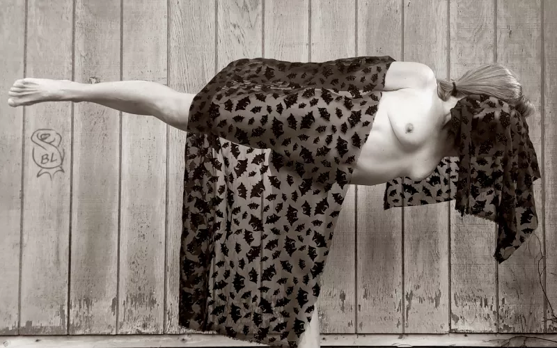 Old Bat Warrior 🦇