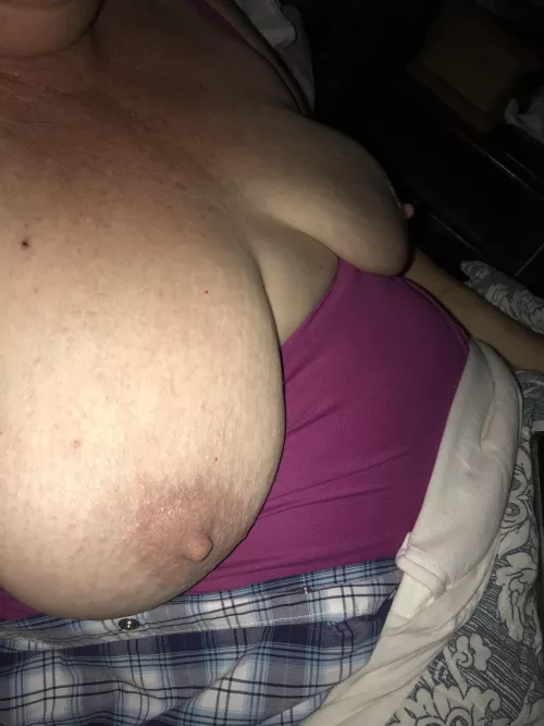 older boobies older boobies