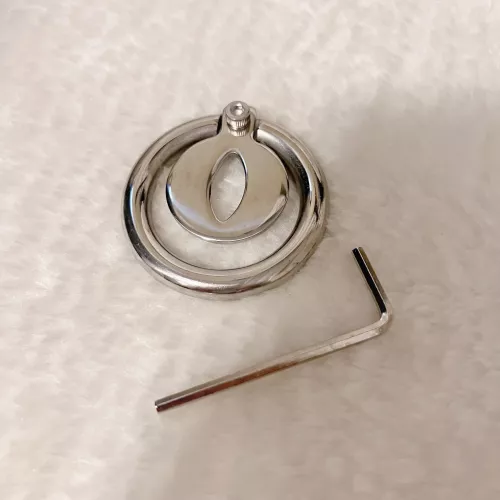 Omg! My new cage is arrived right on Christmas! What a perfect present~ Does anyone want to see me wearing it?