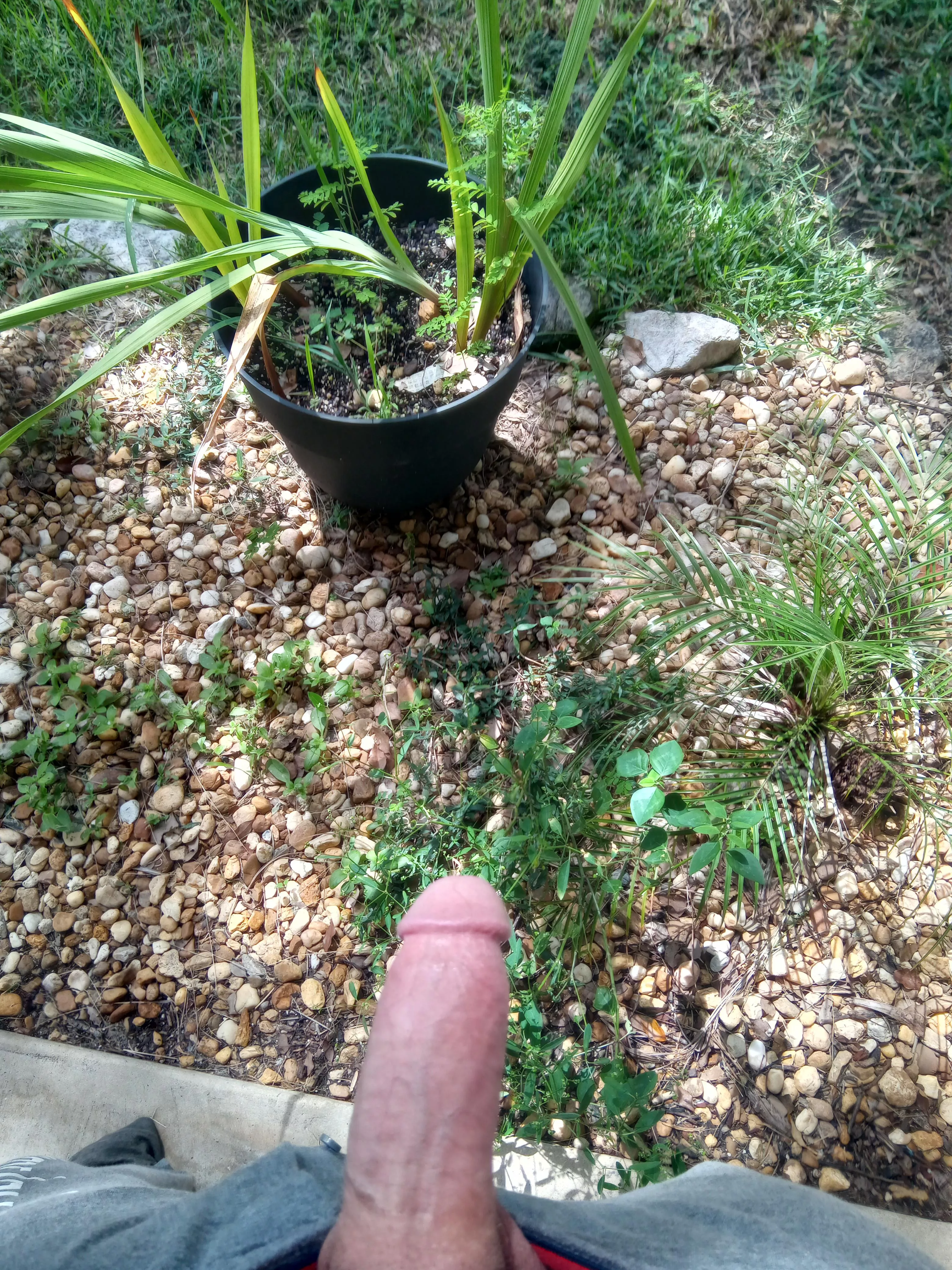 On a scale of one to ten, how would you rate my plants😉😉😉