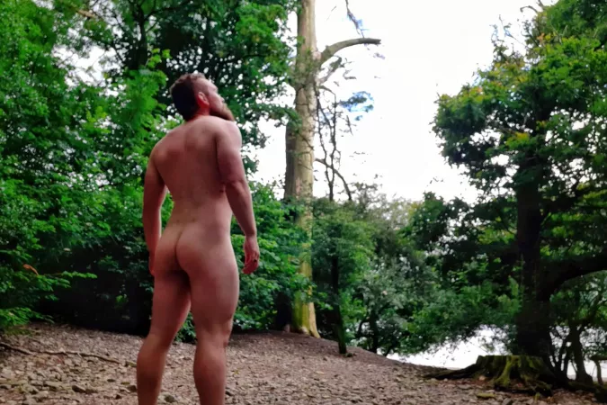 On an island, in the woods. On an island, in the woods.