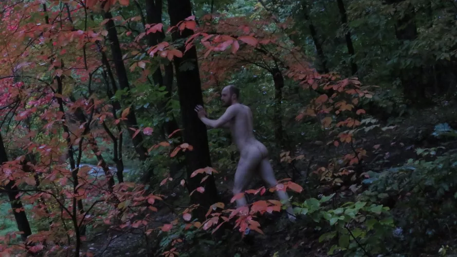 on Tuesdays we pose by a tree(m) on Tuesdays we pose by a tree(m)