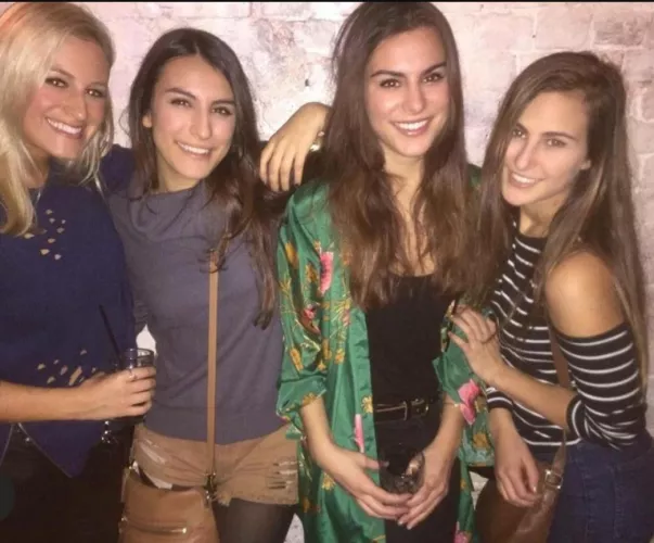 One blonde and three brunettes (all gorgeous)