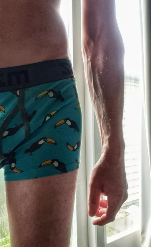 One orgasm might not satisfy you, but toucan One orgasm might not satisfy you, but toucan