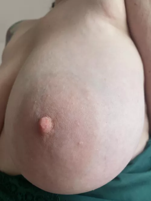#OneBoobWednesday π