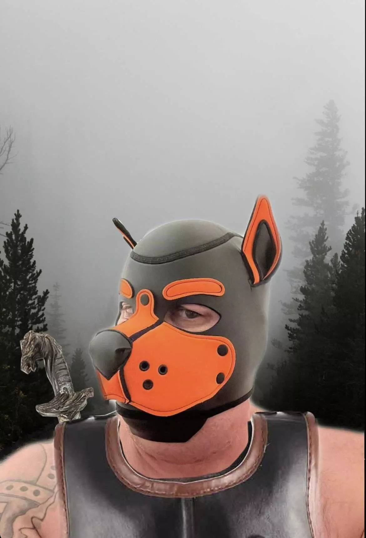 Only fans 1/2off promotion 🐶🧡 link is in comments