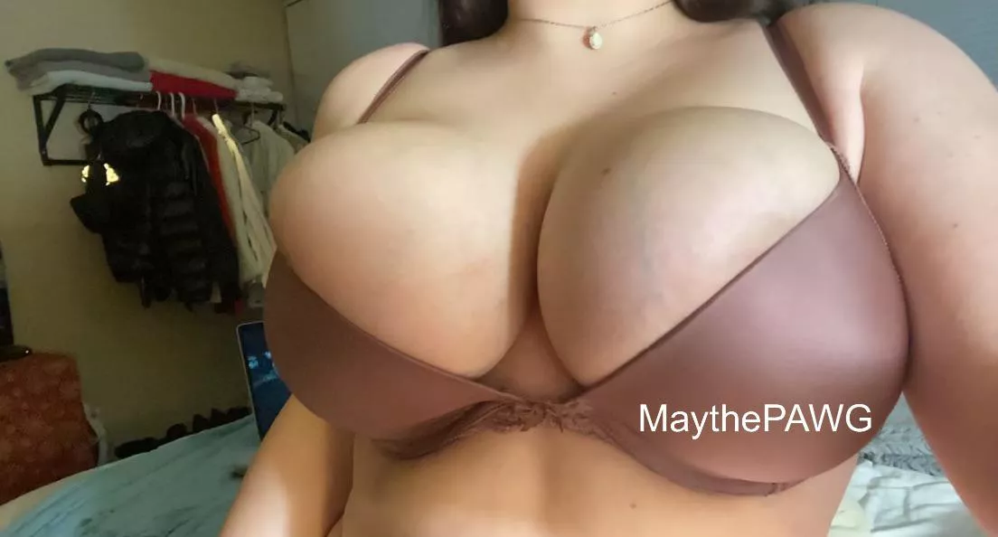 Only react to this if you want to Fuck my Tits on the first date