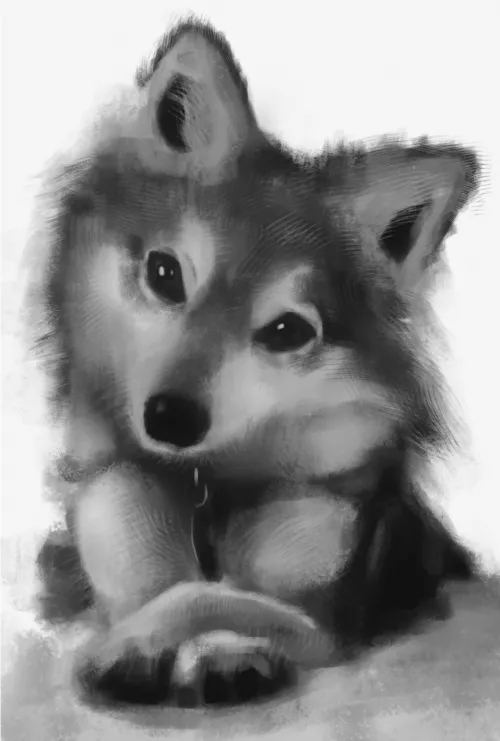 Open for Commissions :)