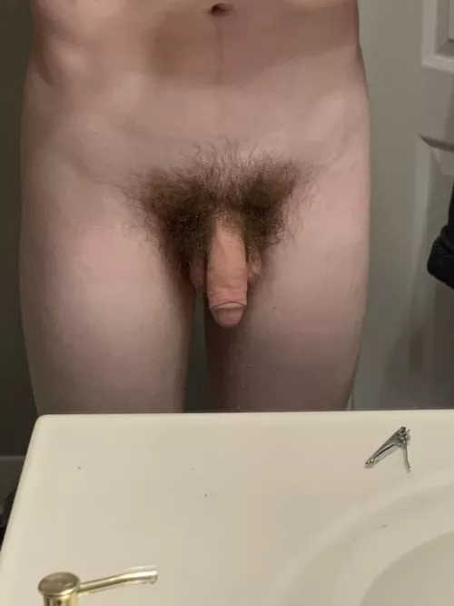 Opinions?