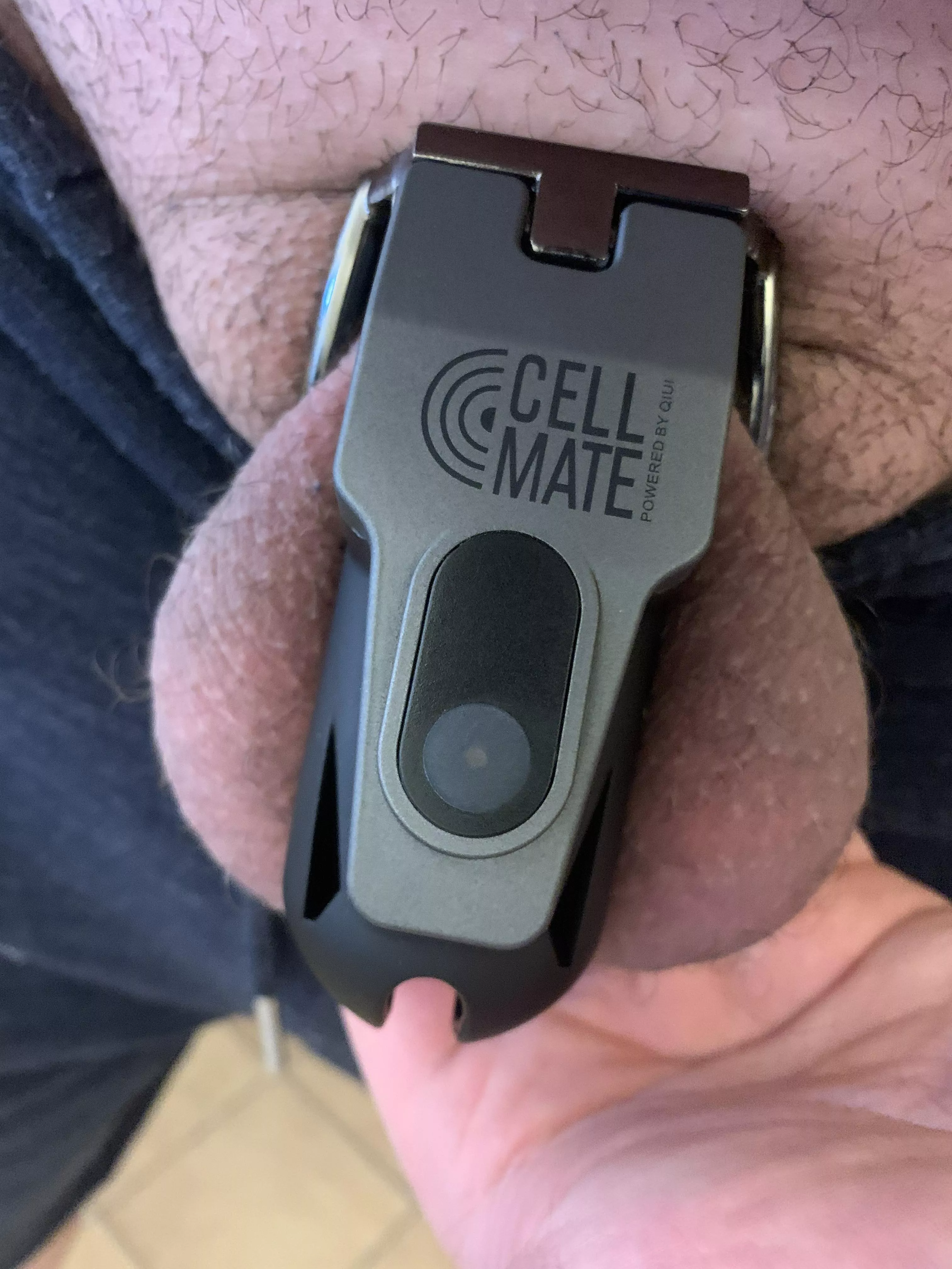 Opinions on my new cage? Opinions on my new cage?