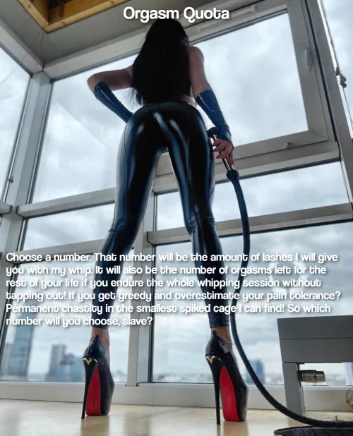 Orgasm Quota Orgasm Quota