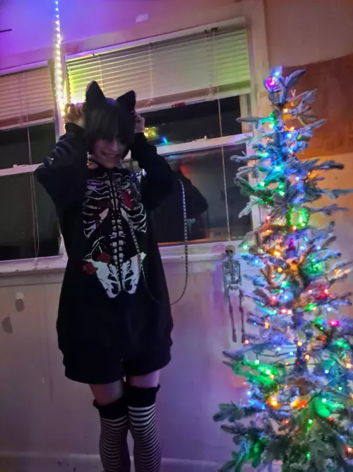 Our Christmas tree is up!๐๐ฑ Our Christmas tree is up!๐๐ฑ