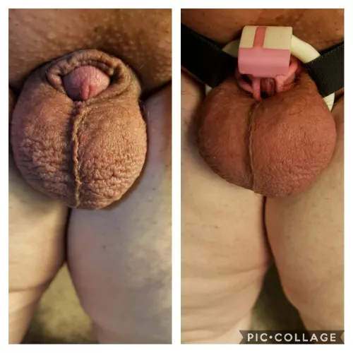 Out for a quick cleaning and then locked right back up ๐ฅฐ