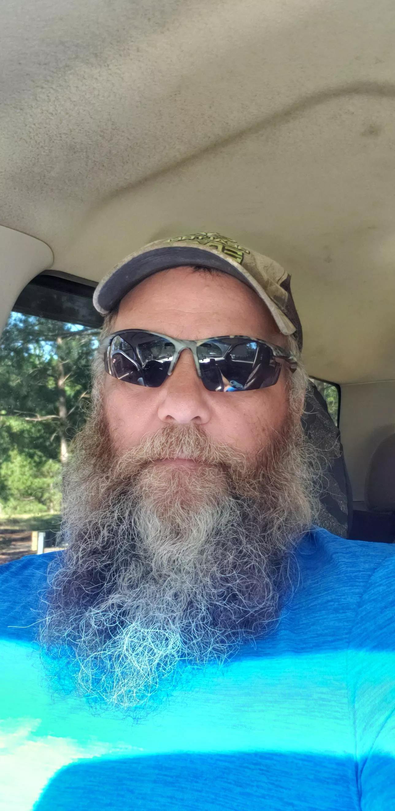 PA bear looking PA bear looking