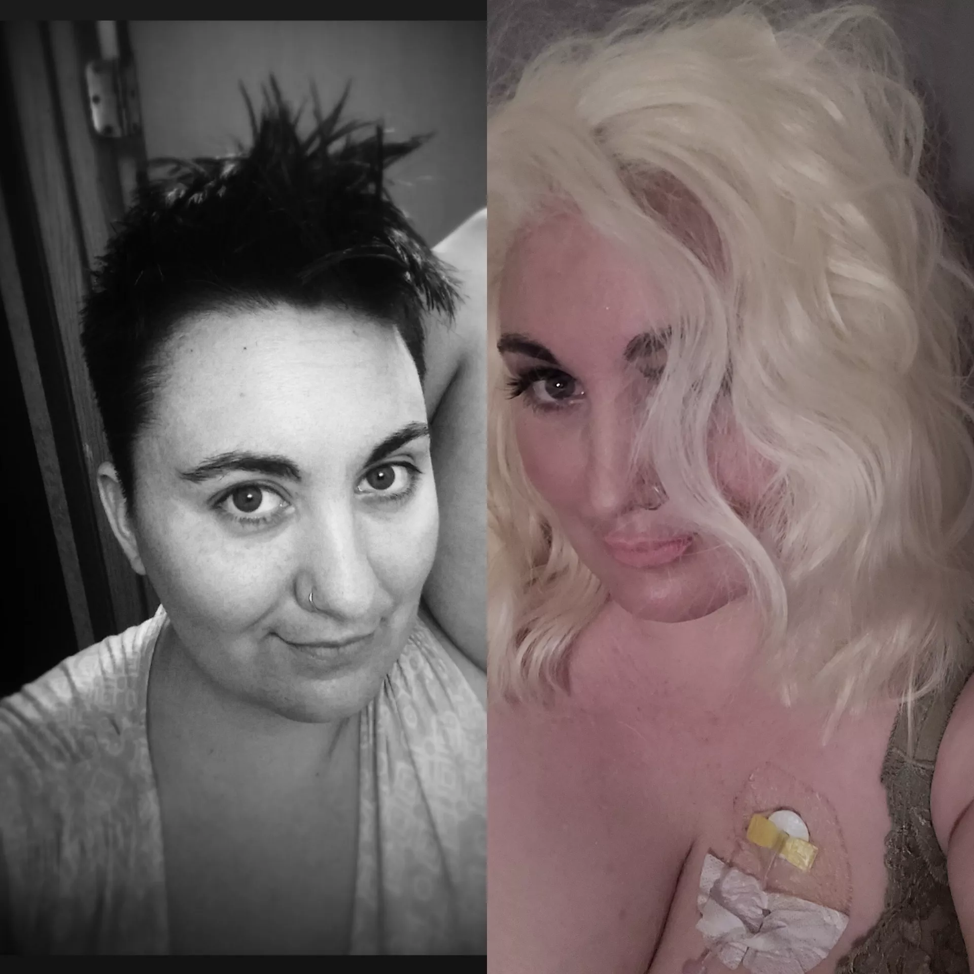 Panda Moanium 2016-2023