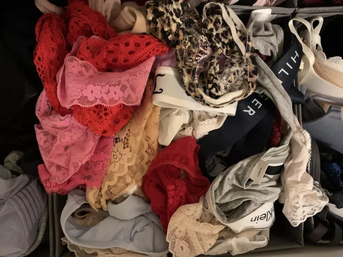 Panties paradise 👱🏻♀️🔥
