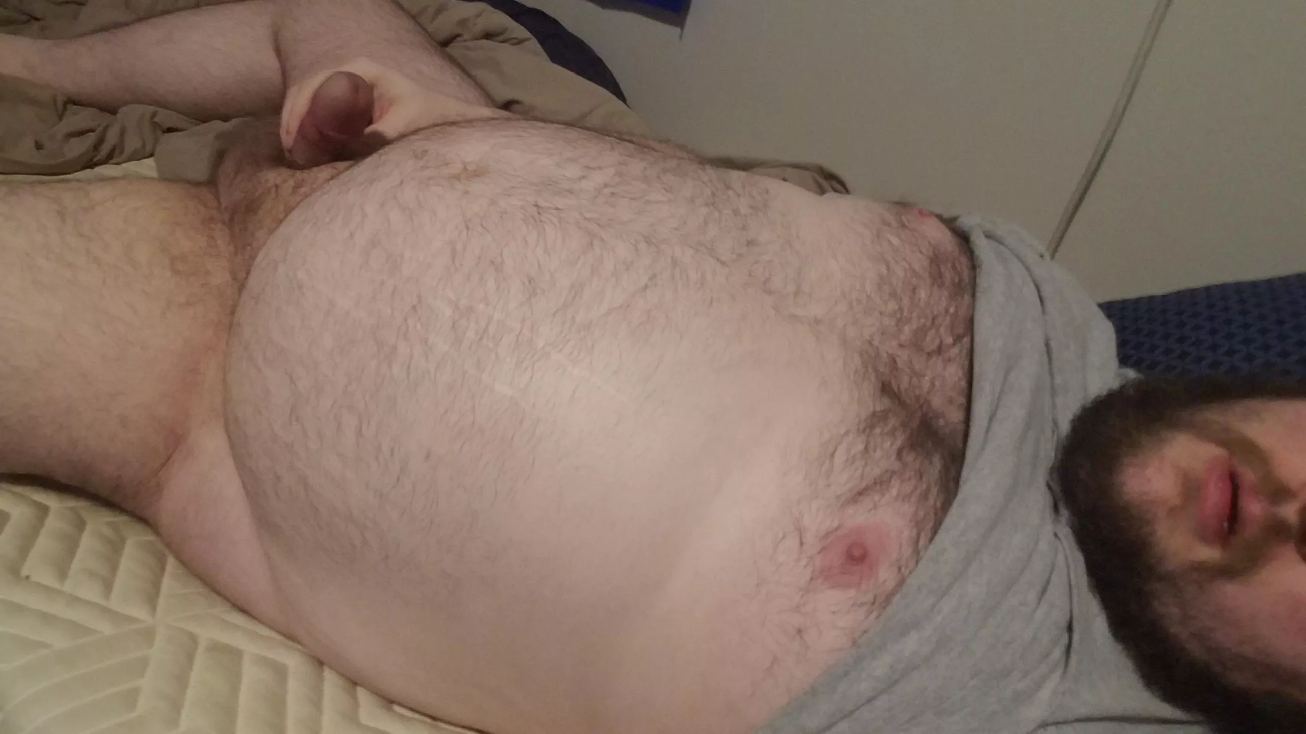 Papa bear is here for you Papa bear is here for you