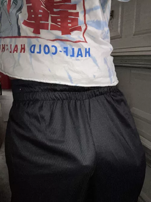 Park. Reverse. Neutral. Drive. Low Park. Reverse. Neutral. Drive. Low