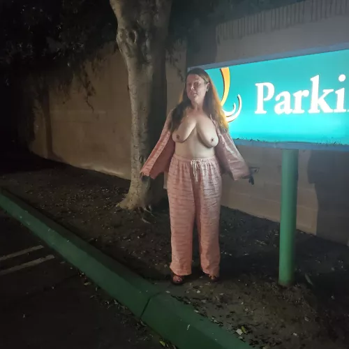Parking attendant