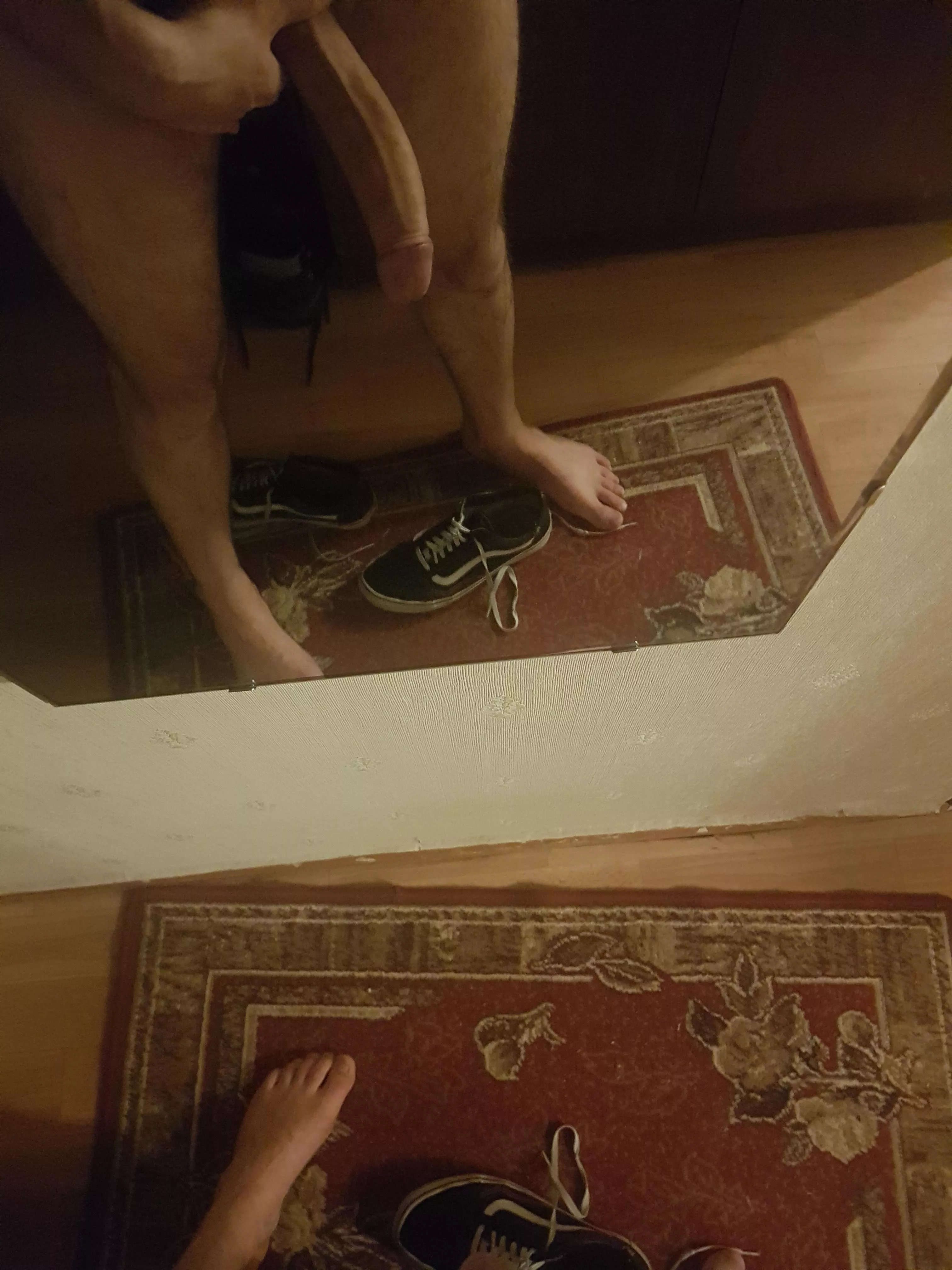 part man, part horse part man, part horse