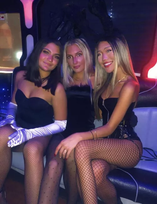 Party Bus Party Bus
