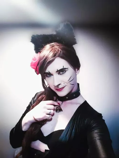 Pat me wherever you want and I'll purr like a kitten