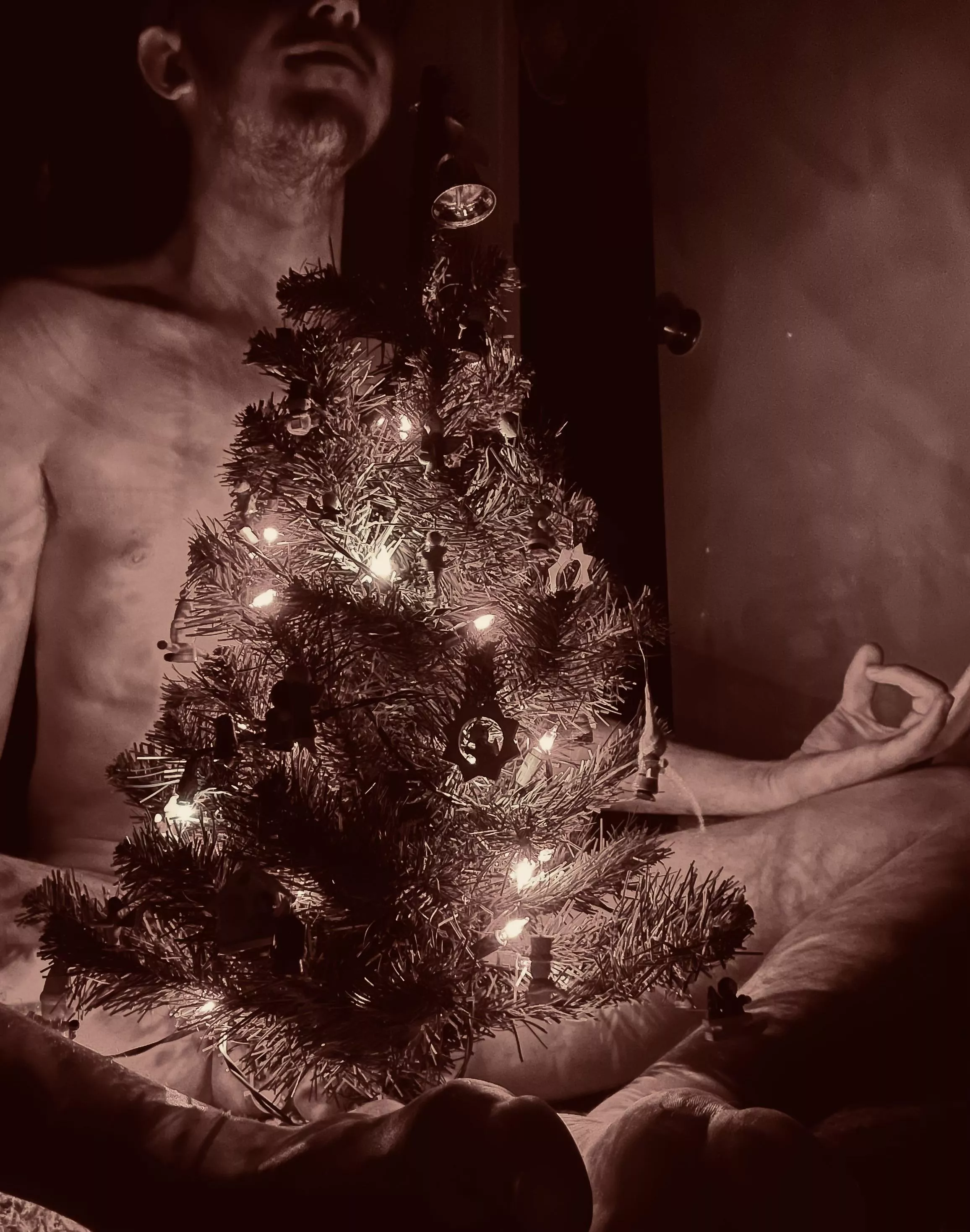 Peace on earth and good will toward all 💚♥️🤍🙏🤍♥️💚