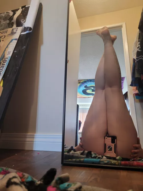 peek a boo peek a boo