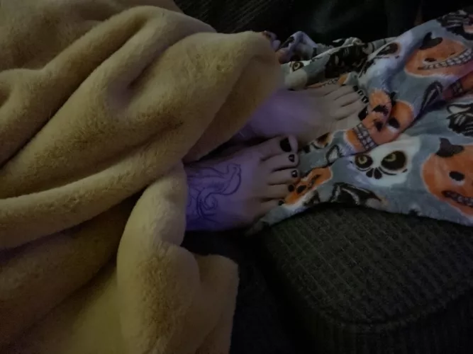 Peekaboo Peekaboo