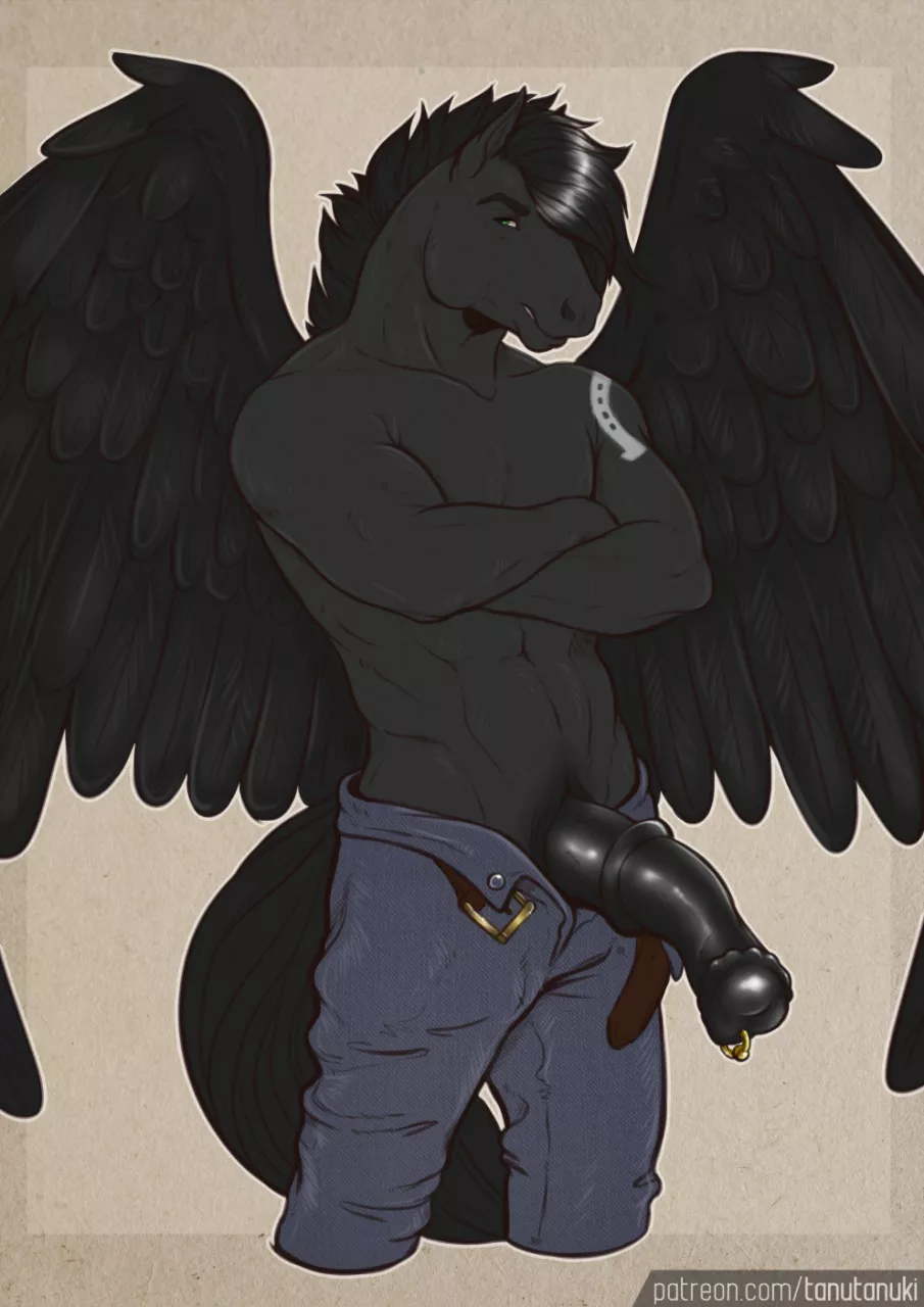 Pegasus (Tanutanuki)