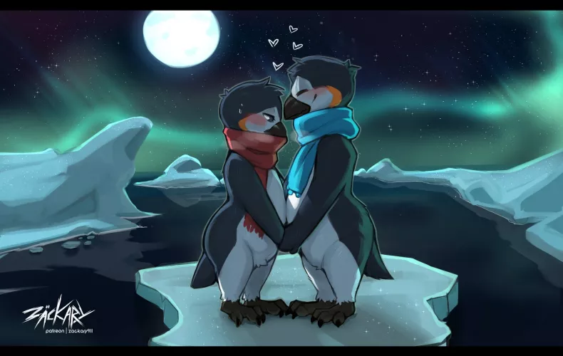 Penguins (Zackary911)