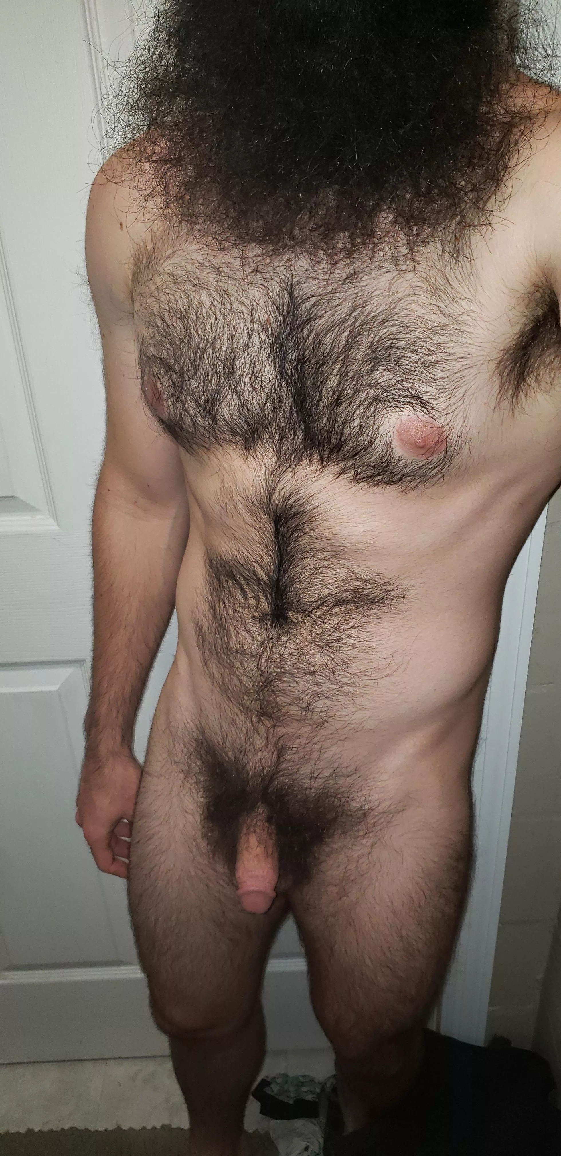 Penus erectus Penus erectus