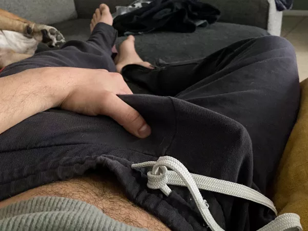 Perfect sweats to give a show Perfect sweats to give a show