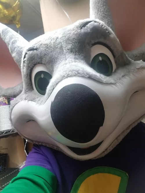 Perks of being a furry I love my job