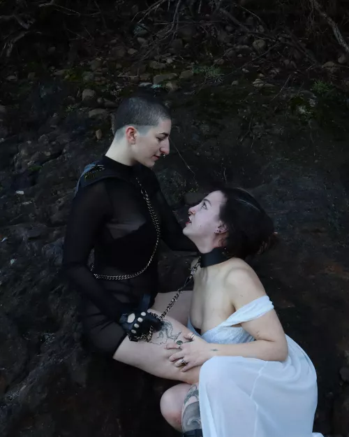 Pet in a posture collar 🥰❤️🔥