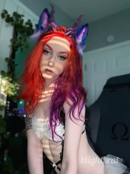 Pet my ears please ??