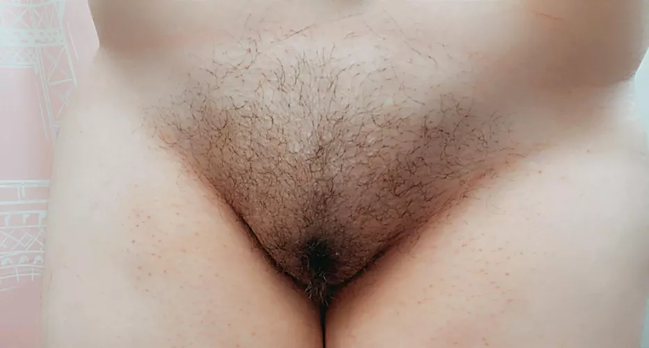 pet my hairy kitty? 🐈✨