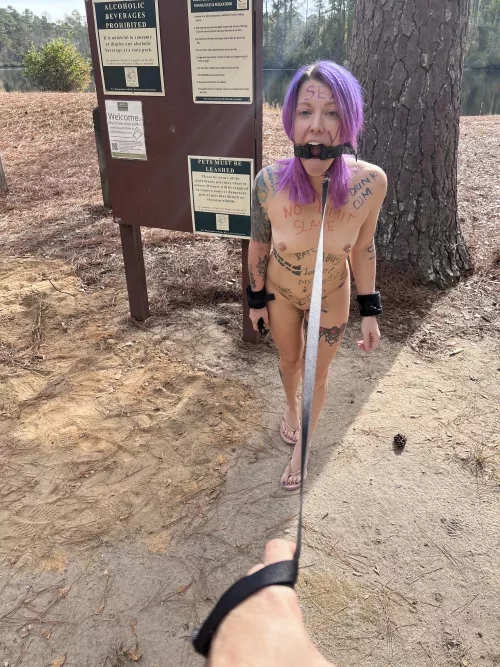 Pets must be on a leash