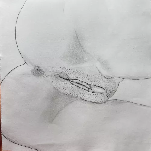 Pick A Hole. OC by me