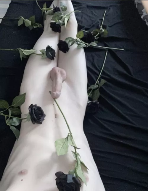 Pick me 🖤