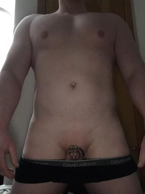 Pick my cage?