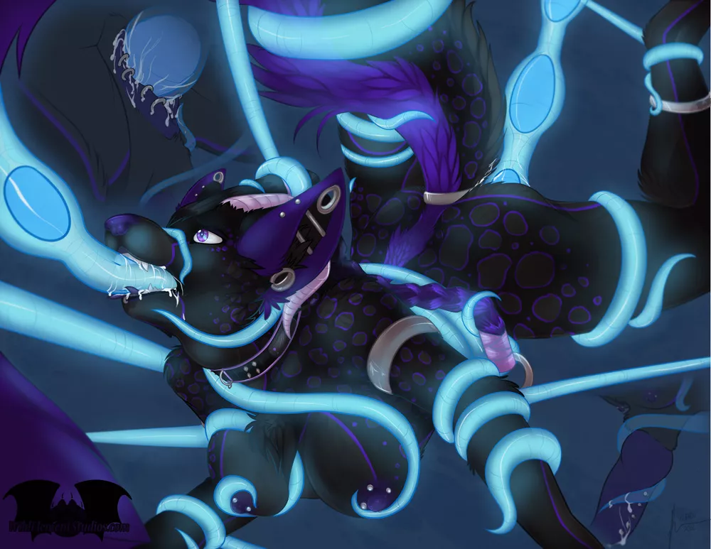 Piercings! Piercings!