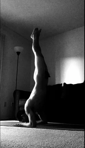 pincha mayurasana pincha mayurasana