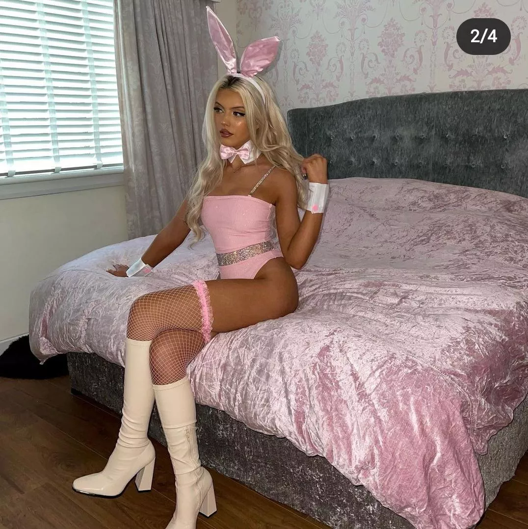 Pink bunny Pink bunny