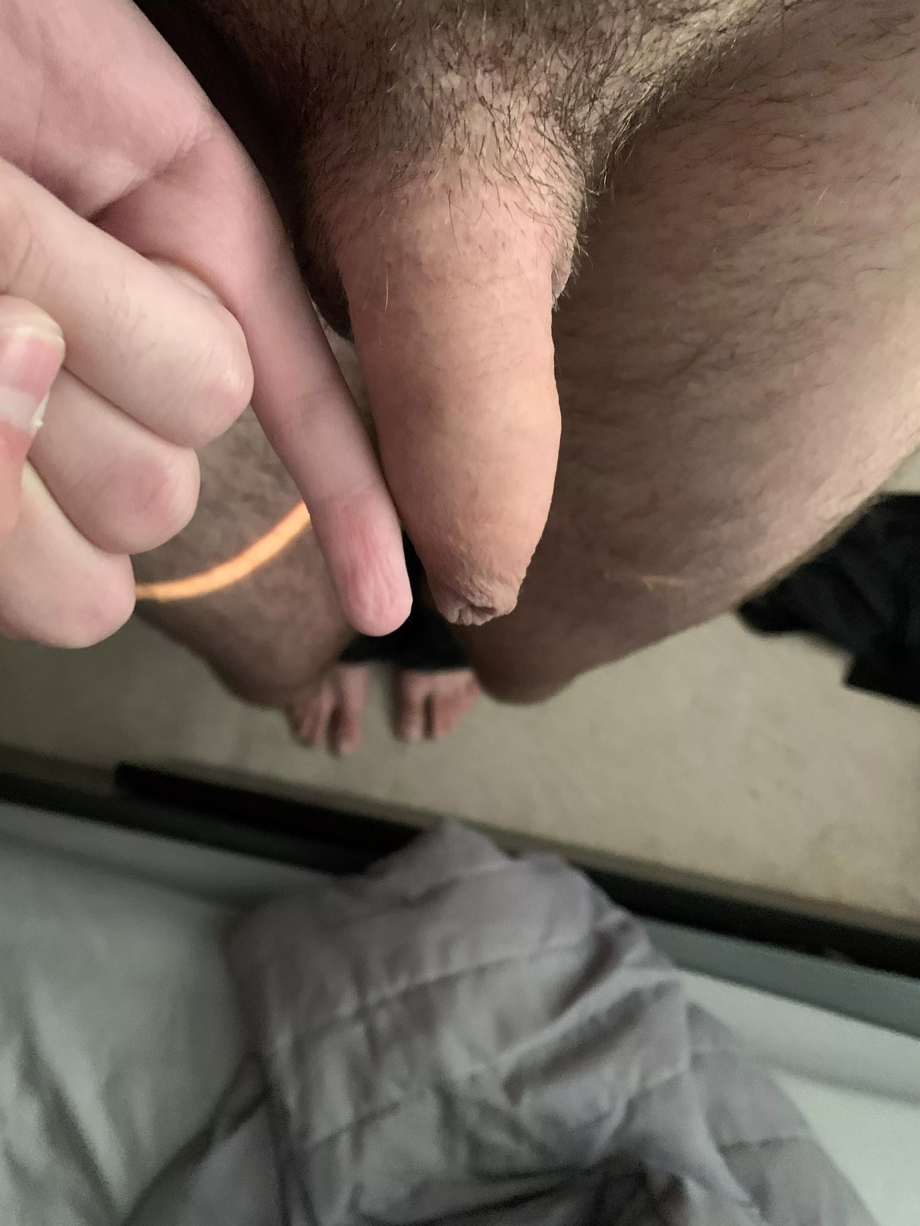 Pinkie Dinkie (22) Pinkie Dinkie (22)