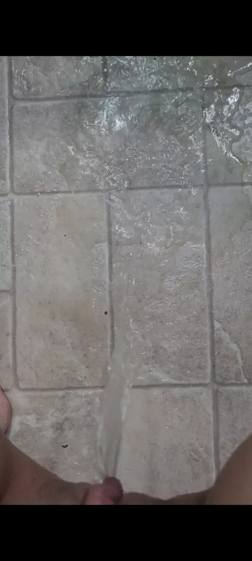 Pissing on my freshly swept floor