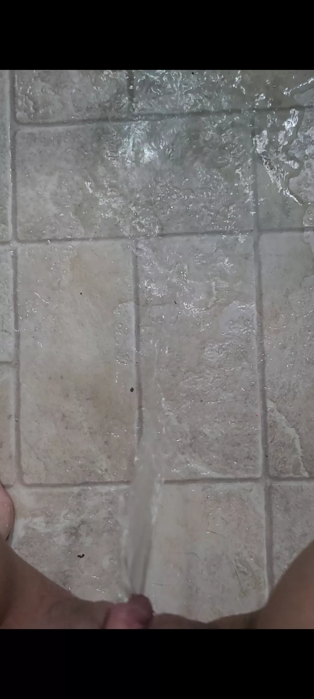 Pissing on my freshly swept floor